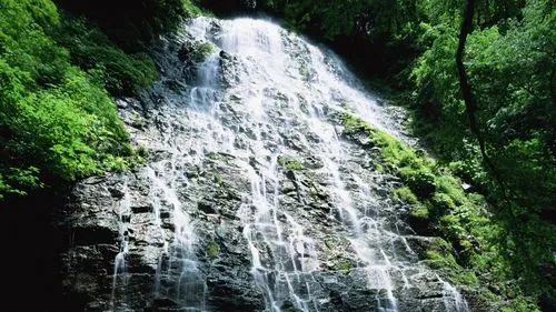 高端全自动稳定性